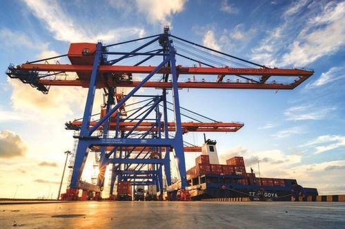 Cổ đông Gemadept (GMD) sắp nhận cổ tức năm 2024 bằng tiền, tỷ lệ 20%