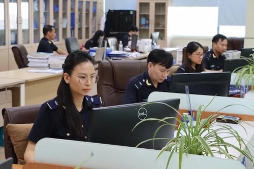 Tạm dừng tiếp nhận khai hải quan từ 22h ngày 30/6