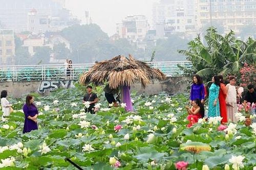Mùa sen ở hồ Tây