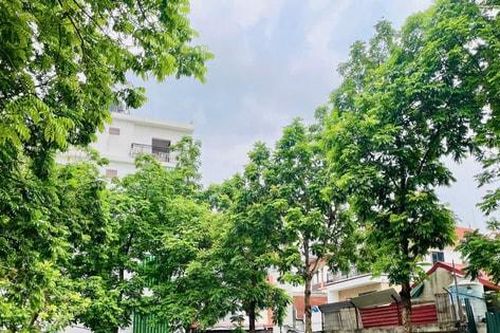Xã Ô Diên mới: Hơn 1.000 người tham gia vệ sinh môi trường chào mừng sự kiện thành lập xã