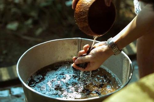 Dưỡng tóc bằng nguyên liệu tự nhiên có thực sự hiệu quả?
