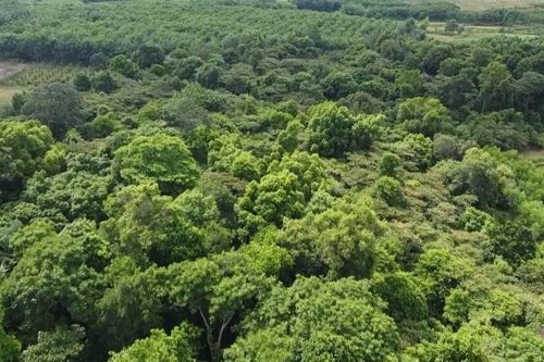 Làm thế nào để đạt được Net Zero?