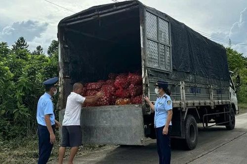 Quảng Ninh thu giữ và tiêu hủy gần 17 tấn ngao và hàu không rõ nguồn gốc