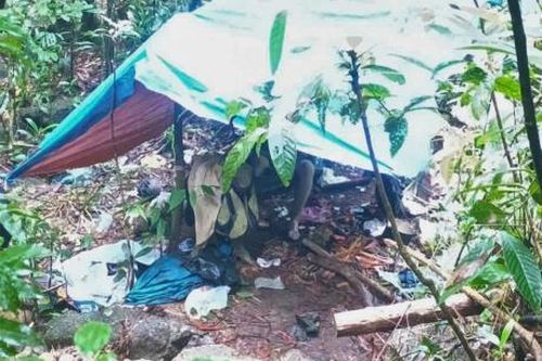 'Sơn tràng' chết trong rừng sâu