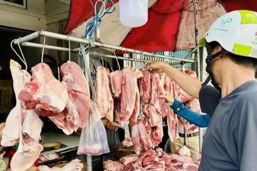 Giá heo hơi hôm nay 30/6: Cả nước có xu hướng giảm dần, lùi dần về ngang bằng với mức giá cùng thời điểm cách đây 1 năm