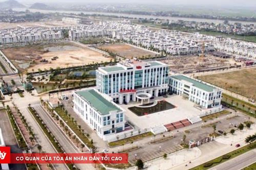 Nhiều Giám đốc Sở ở Thanh Hóa làm Bí thư xã