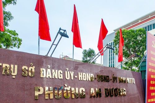 Hàng loạt giám đốc sở, bí thư, chủ tịch cấp huyện làm bí thư cấp xã Hải Phòng