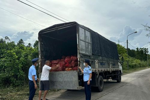 Quảng Ninh: Bắt giữ 2 vụ vận chuyển gần 17 tấn ngao, hàu trái phép