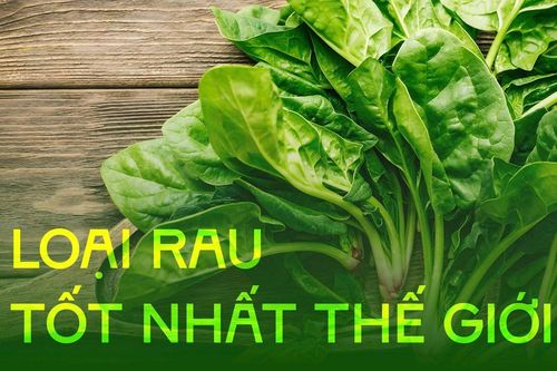 Chuyên gia dinh dưỡng Mỹ tiết lộ loại rau tốt nhất thế giới, ở Việt Nam bán nhiều