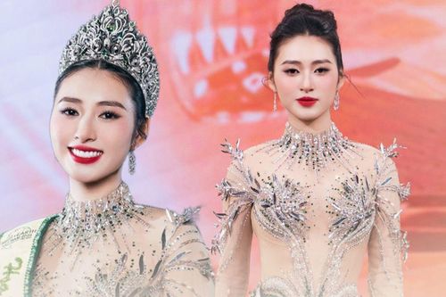 Dậy sóng trước 'số phận' khó hiểu của tân Hoa hậu Trái đất Việt Nam