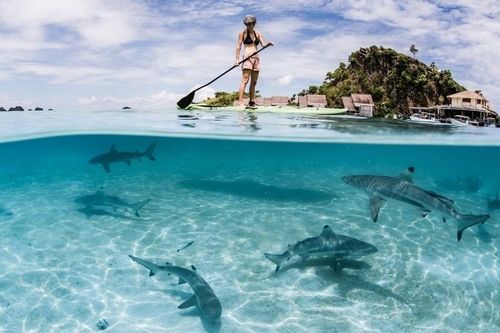 Việt Nam trong bản đồ nghỉ dưỡng thầm lặng của giới siêu giàu