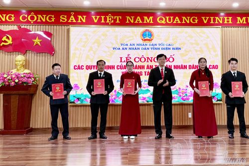 Bổ nhiệm 5 Chánh án Tòa án nhân dân khu vực tại Điện Biên