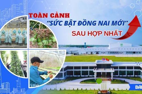 [Megastory] Toàn cảnh 'sức bật Đồng Nai mới' sau hợp nhất (Bài 1)