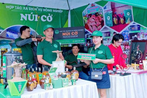 Phát huy vai trò quản lý kinh tế của phụ nữ