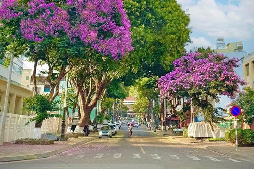 Pleiku, miền nhớ...