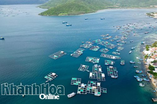 Thủ tướng Chính phủ chấp thuận chủ trương đầu tư 2 dự án khu đô thị hơn 65.308 tỷ đồng tại Khu Kinh tế Vân Phong