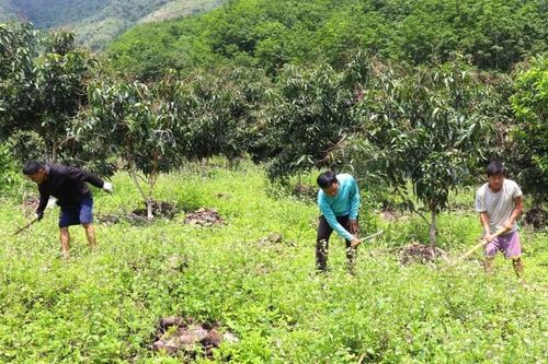 Mang ấm no, hạnh phúc đến với nhân dân