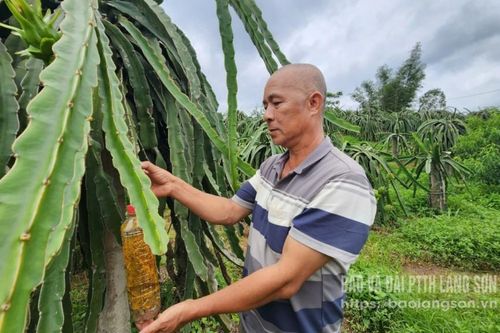 Làm giàu từ 'rồng xanh'