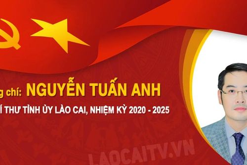 Tóm tắt tiểu sử đồng chí Nguyễn Tuấn Anh, Phó Bí thư Tỉnh ủy