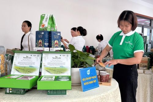 Giúp phụ nữ tự tin, làm chủ kinh tế