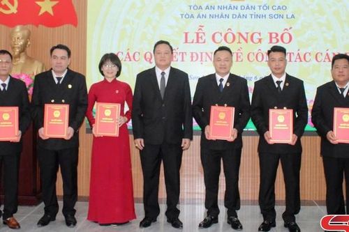 Tòa án nhân dân tỉnh công bố, trao quyết định về công tác cán bộ