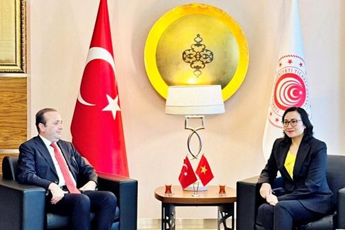 Hợp tác kinh tế thương mại và đầu tư: Điểm sáng quan hệ Việt Nam - Thổ Nhĩ Kỳ