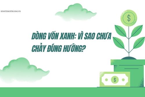 Dòng vốn xanh: Vì sao chưa chảy đúng hướng?