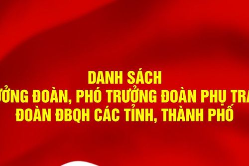 Trưởng đoàn, Phó Trưởng đoàn phụ trách 34 Đoàn ĐBQH các tỉnh, thành phố