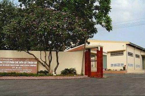 CTCP Chế biến gỗ Thuận An (GTA): Lãi 6 tháng thấp kỷ lục, biên lợi nhuận tiếp tục thu hẹp