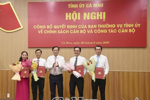 Ban Thường vụ Tỉnh ủy Cà Mau kiện toàn công tác cán bộ