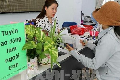 Ninh Thuận: Hơn 10.000 lao động được giải quyết việc làm trong 5 tháng đầu năm