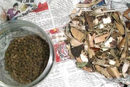 Lâm Đồng kiểm soát chất lượng thuốc dược liệu