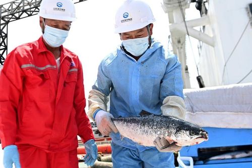 Tokyo hoan nghênh việc Trung Quốc nối lại nhập khẩu hải sản Nhật Bản