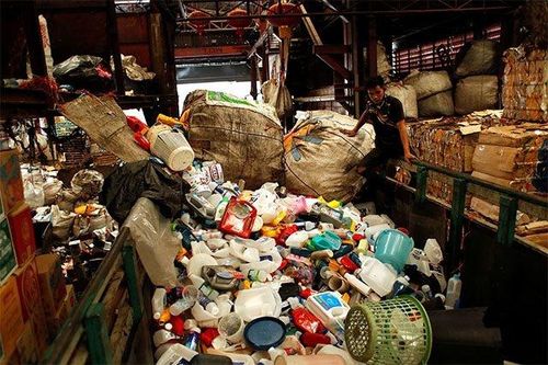 Biến rác thải nhựa thành thuốc giảm đau từ một loại vi khuẩn