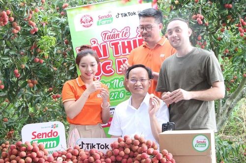 Phó chủ tịch Bắc Ninh livestream bán 54 tấn vải trong 6 giờ