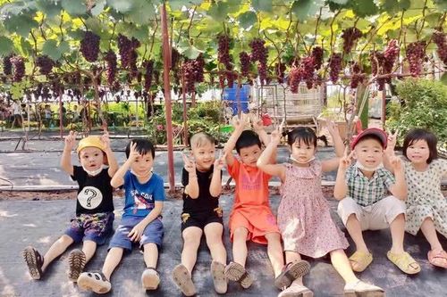 Gia tăng giá trị cho nông nghiệp Hà Nội