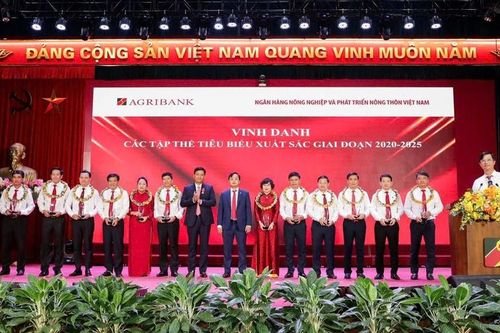 Đảng bộ Agribank: Nòng cốt vững chắc, dẫn dắt chuyển mình toàn hệ thống