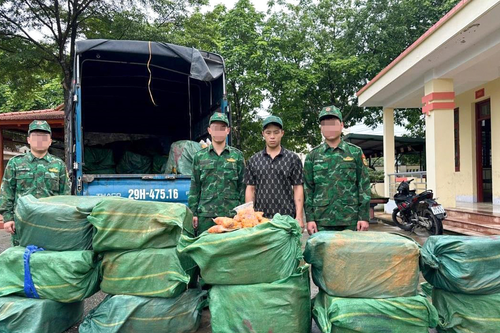 Bắt vụ vận chuyển 1,2 tấn trứng gà non không rõ nguồn gốc