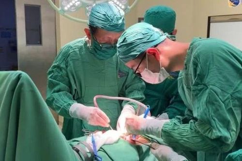 Đau bụng tái diễn không ngờ sỏi lấp đầy ống mật chủ, gan