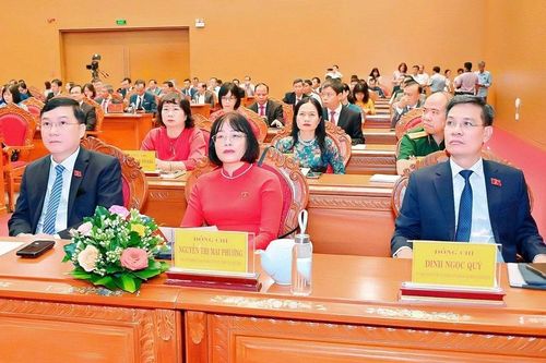 Gia Lai chỉ định 16 giám đốc sở, ngành giữ chức ủy viên UBND tỉnh