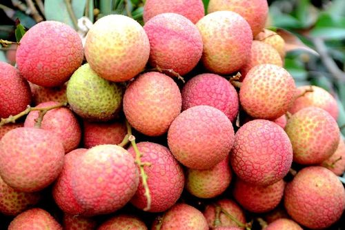 Netizen gọi vui tên các đặc sản vùng miền sau sáp nhập
