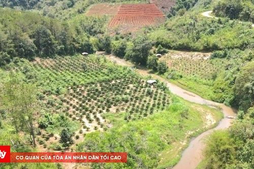 Xử phạt chủ đầu tư thủy điện Đăk Pru vì chậm tiến độ