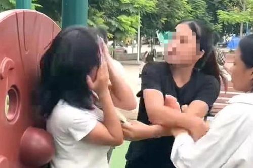 Chuyển công an tỉnh điều tra vụ cô gái bị hành hung tại công viên ở Bắc Ninh