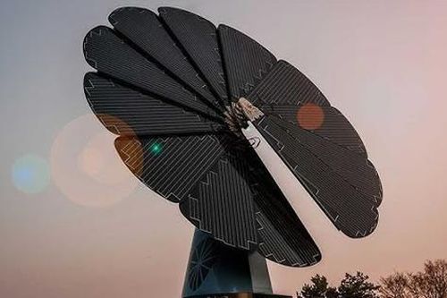 'Bông hoa hướng dương thông minh' tạo ra 6.500 kWh điện mỗi năm