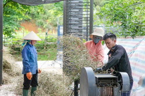 Ứng dụng KHKT vào sản xuất ở vùng cao