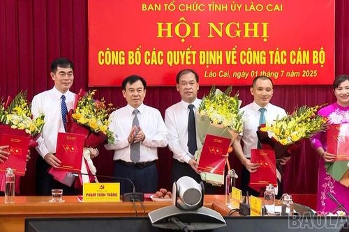 Ban Tổ chức Tỉnh ủy Lào Cai công bố các quyết định về công tác cán bộ