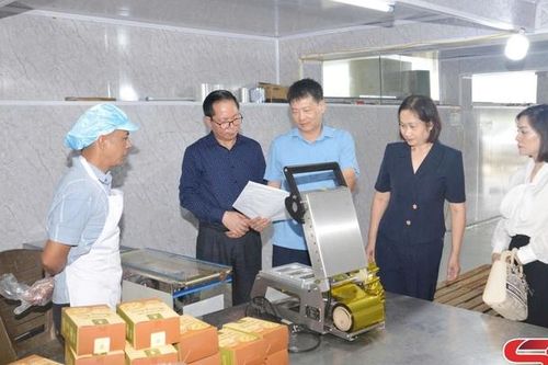 Hỗ trợ ứng dụng máy móc thiết bị sản xuất, chế biến sữa chua khô