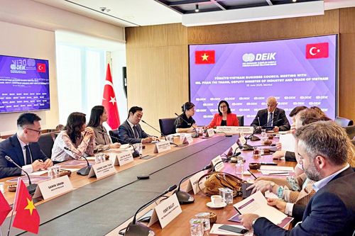 Hội đồng Doanh nghiệp Thổ Nhĩ Kỳ - Việt Nam mong muốn mở rộng hợp tác thương mại với Việt Nam