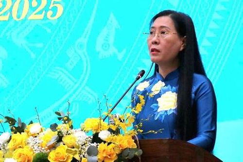 Bí thư Tỉnh ủy Quảng Ngãi, Gia Lai chỉ đạo gì tại 'kỳ họp đặc biệt'?