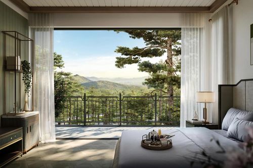 Thanh Xuan Valley và những điểm chạm chăm sóc sức khỏe giữa triệu tán thông 50 năm